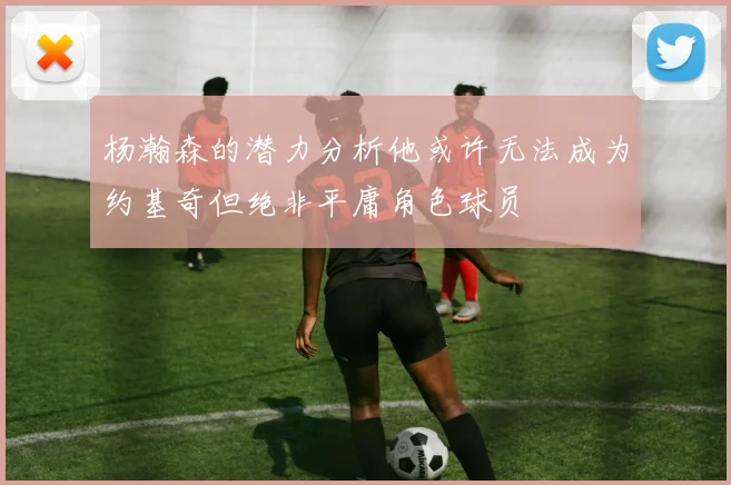 杨瀚森的潜力分析他或许无法成为约基奇但绝非平庸角色球员